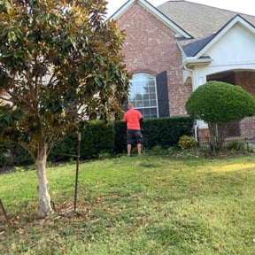 Bush Trimming by Choice Landscaping and Lawncare reviewed on June 16, 2020