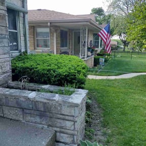 Bush Trimming by P-jamS Property Solutions reviewed on December 1, 2022
