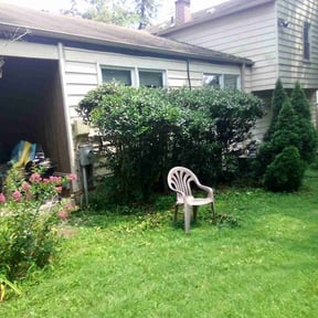 Bush Trimming by Carbon Dioxide Recyclers reviewed on July 19, 2025