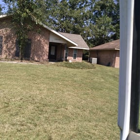 Cleanups by GRASS EFX LAWN CARE reviewed on July 13, 2025
