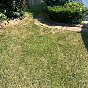 Flower Bed Weeding by The Honest Cutter reviewed on August 10, 2021