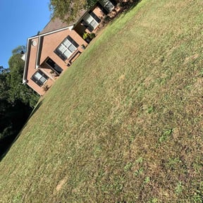 Bush Trimming by Ryan's Mowing LLC reviewed on May 3, 2022