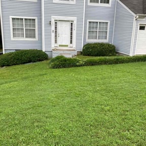 Bush Trimming by 3DM reviewed on January 21, 2022