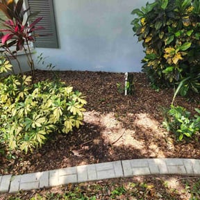 Flower Bed Weeding by HTx Landscaping Services reviewed on March 18, 2022