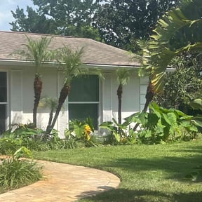 Bush Trimming by DR Lawn Care Services reviewed on August 13, 2025