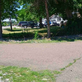 Weeding by LSLTDallas/FortWorthTruGreen reviewed on August 14, 2024