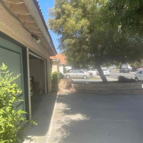 Bush Trimming by Starr Cleaning and Lawn Care LLC reviewed on June 29, 2025