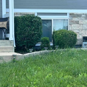 Bush Trimming by Home Grown Garden and Lawn reviewed on July 12, 2022