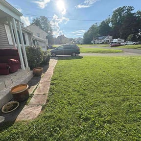Flower Bed Weeding by TNT Lawn Care reviewed on August 5, 2022
