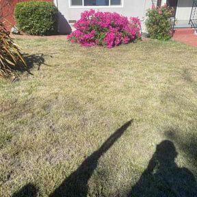 Flower Bed Weeding by Los Koras Lawn Care reviewed on June 26, 2025