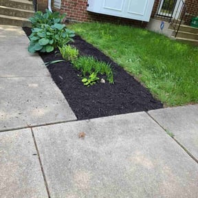 Mulching by First Landscape reviewed on November 19, 2024