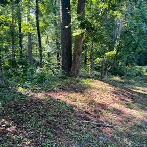 Cleanups by J.W.G. mowing and lanscaping reviewed on April 10, 2022