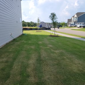 Weed Pulling by Scarlet and gray Lawn Care Management LLC reviewed on June 11, 2022