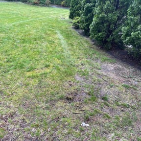 Leaf Removal by Muscles 4 hire labor reviewed on July 13, 2022