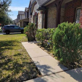 Bush Trimming by JG Lawn Care reviewed on March 21, 2025