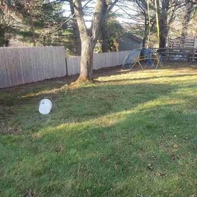 Leaf Removal by Hinks Lawn Care reviewed on September 7, 2024