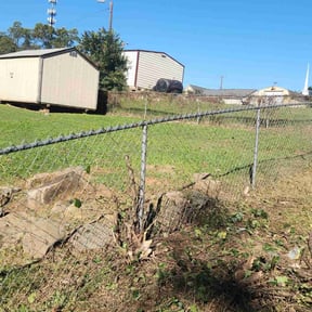 Cleanups by Daniel's lawn care service LLC reviewed on May 9, 2022