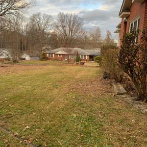 Bush Trimming by F&amp;M LAWNCARE reviewed on June 7, 2022