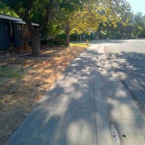 Leaf Removal by Sandra Gutierrez reviewed on May 5, 2022