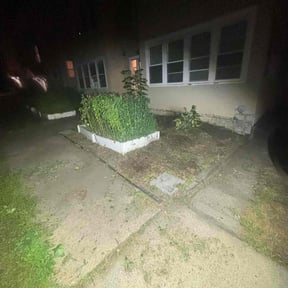 Cleanups by Ron's lawn care reviewed on December 8, 2023