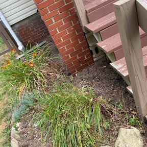 Flower Bed Weeding by Brian The Yard Barber LLC reviewed on October 5, 2022