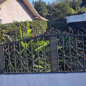 Bush Trimming by Leatherneck Landscaping reviewed on May 6, 2020