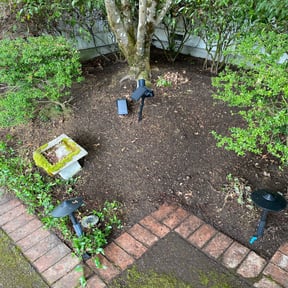 Cleanups by Christopher MowPro reviewed on June 18, 2025