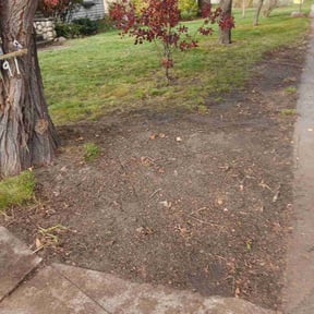 Leaf Removal by Landscapers reviewed on November 20, 2024