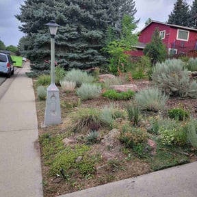 Flower Bed Weeding by Morel Lawn & tree service reviewed on July 13, 2022