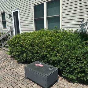 Bush Trimming by DTE Maintenance Llc reviewed on August 9, 2024