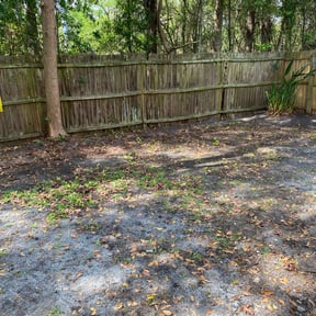 Leaf Removal by Dallas Enterprise LLC Lawn Care Services reviewed on June 13, 2025
