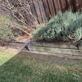 Bush Trimming by HonchoLouBlanco LLC, reviewed on May 18, 2022
