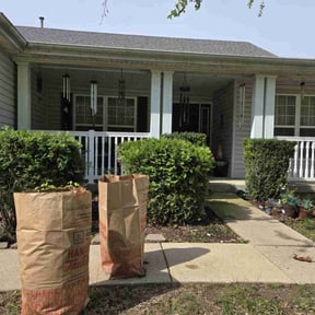 Landscaping by CL Services reviewed on June 20, 2024