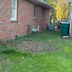 Cleanups by Can’t Stop Won’t Stop Lawn Care reviewed on July 6, 2025