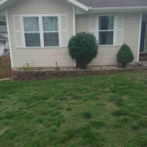 Bush Trimming by David Milla reviewed on May 2, 2025