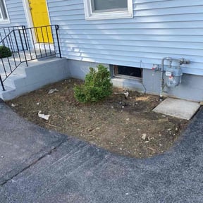 Leaf Removal by JM Restoration Inc reviewed on June 20, 2022