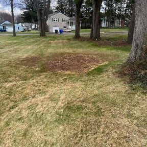 Leaf Removal by Garfield Lawn Care reviewed on July 21, 2022