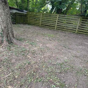 Leaf Removal by Greene Enterprise reviewed on April 7, 2025