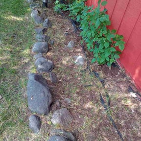 Flower Bed Weeding by Sir Knights Lawn Care reviewed on June 17, 2022