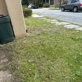 Leaf Removal by One yard at a time reviewed on March 21, 2022