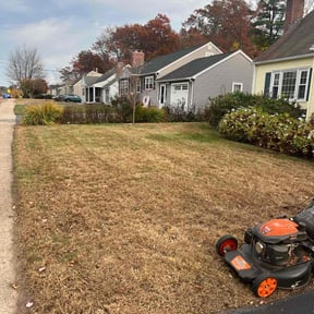Leaf Removal by Mario Smith reviewed on April 24, 2022