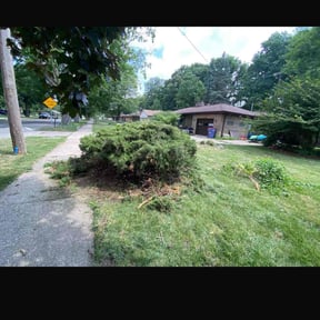 Bush Trimming by Landscapers reviewed on November 20, 2024