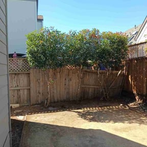 Bush Trimming by Scripted Lawn Services reviewed on April 10, 2022