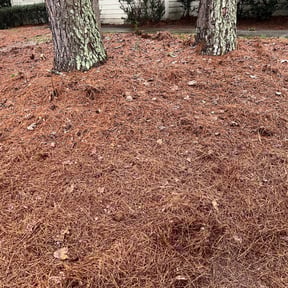 Cleanups by Smoove Service reviewed on July 27, 2025