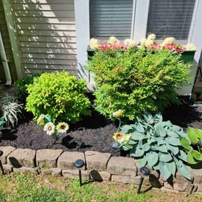 Flower Bed Weeding by Enclave Landscape Management reviewed on June 20, 2022