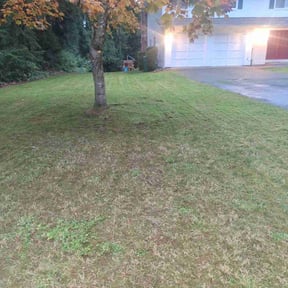 Leaf Removal by Barkley's Landscaping, LLC reviewed on July 20, 2022