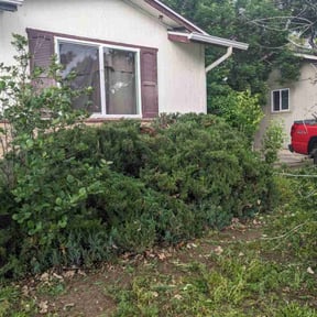 Bush Trimming by Pearcy and Sons Contracting reviewed on June 20, 2024
