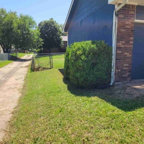 Bush Trimming by Phal SP landscape reviewed on July 10, 2025