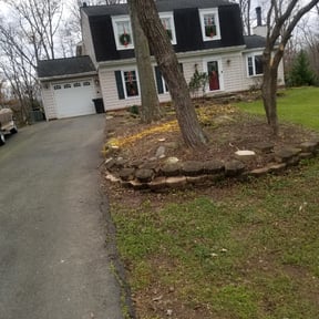 Leaf Removal by David Peters reviewed on October 14, 2024