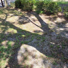 Leaf Removal by Prestigious advantage reviewed on July 7, 2022